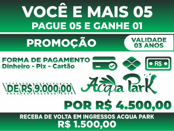 P5L6-03 Anos