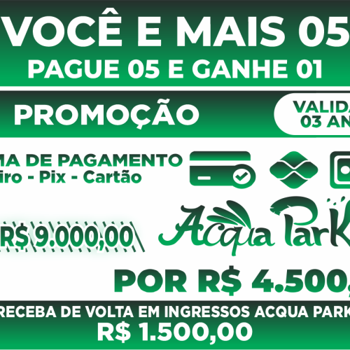 P5L6-03 Anos