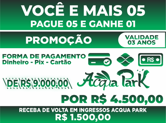 P5L6-03 Anos